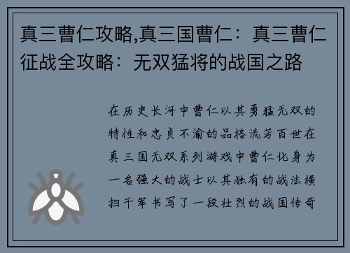 真三曹仁攻略,真三国曹仁：真三曹仁征战全攻略：无双猛将的战国之路
