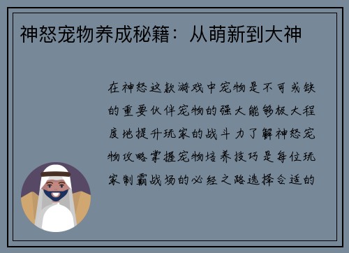 神怒宠物养成秘籍：从萌新到大神